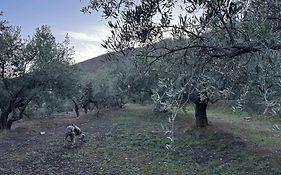 Casa Rural Los Caleros